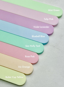 Skate to Me Earrings