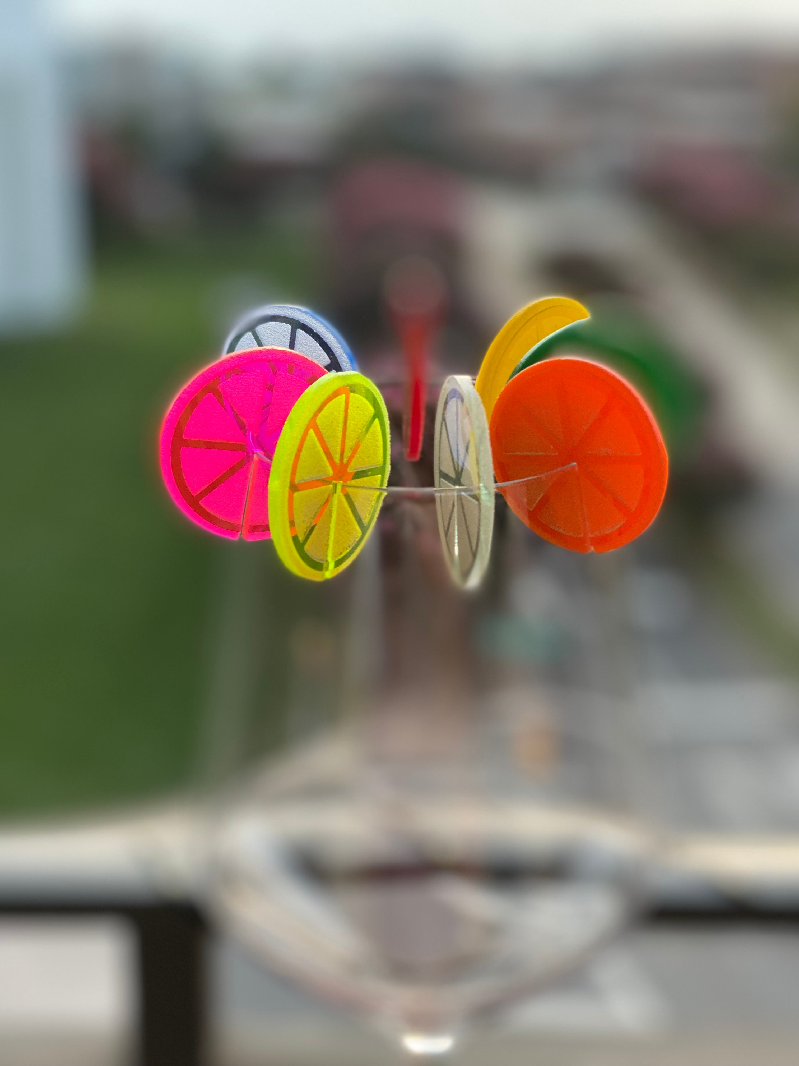 Fruit Slice Drink Markers